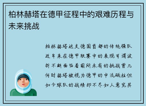 柏林赫塔在德甲征程中的艰难历程与未来挑战